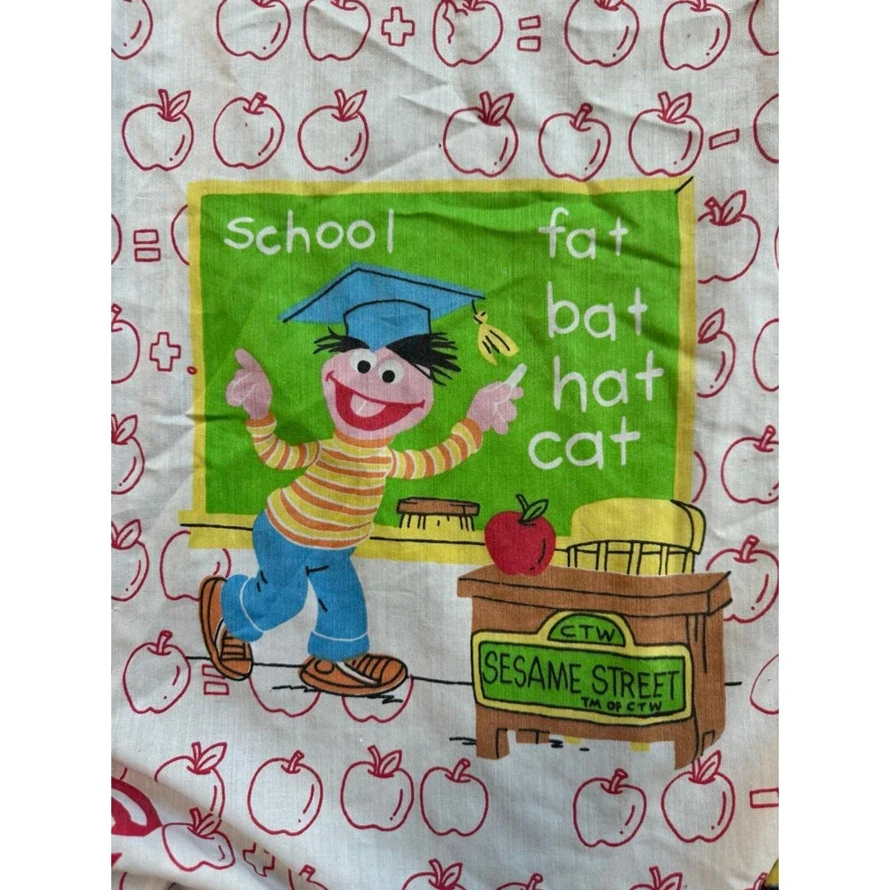 VTG Sesame Street Twin Fitted Sheet School Marlborough Apples Big Birds Oscar